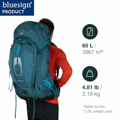 Person wearing a blue Osprey backpack with 65L capacity.